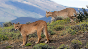 El papel de la naturaleza